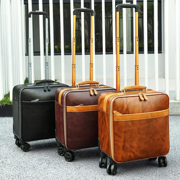 1 Black and brown leather trolley luggage set, studio display