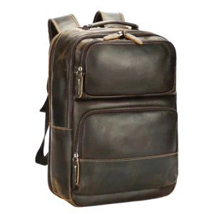 Dark brown leather backpack, white background