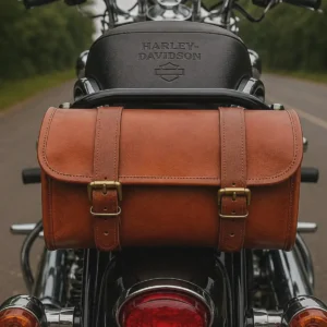 Brown leather motorcycle sissy bar bags style S1003 mounted behind a motorcycle seat